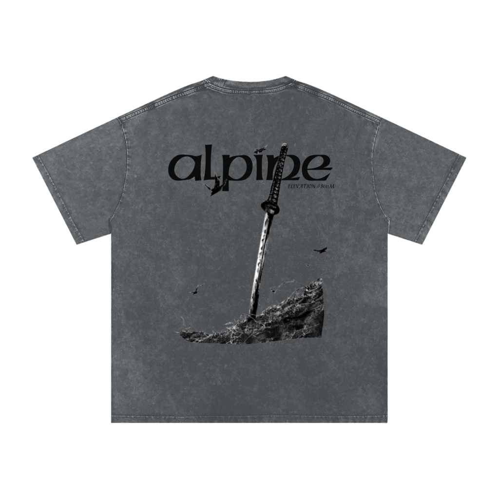 Gray Alpine Washed Oversized T-Shirt